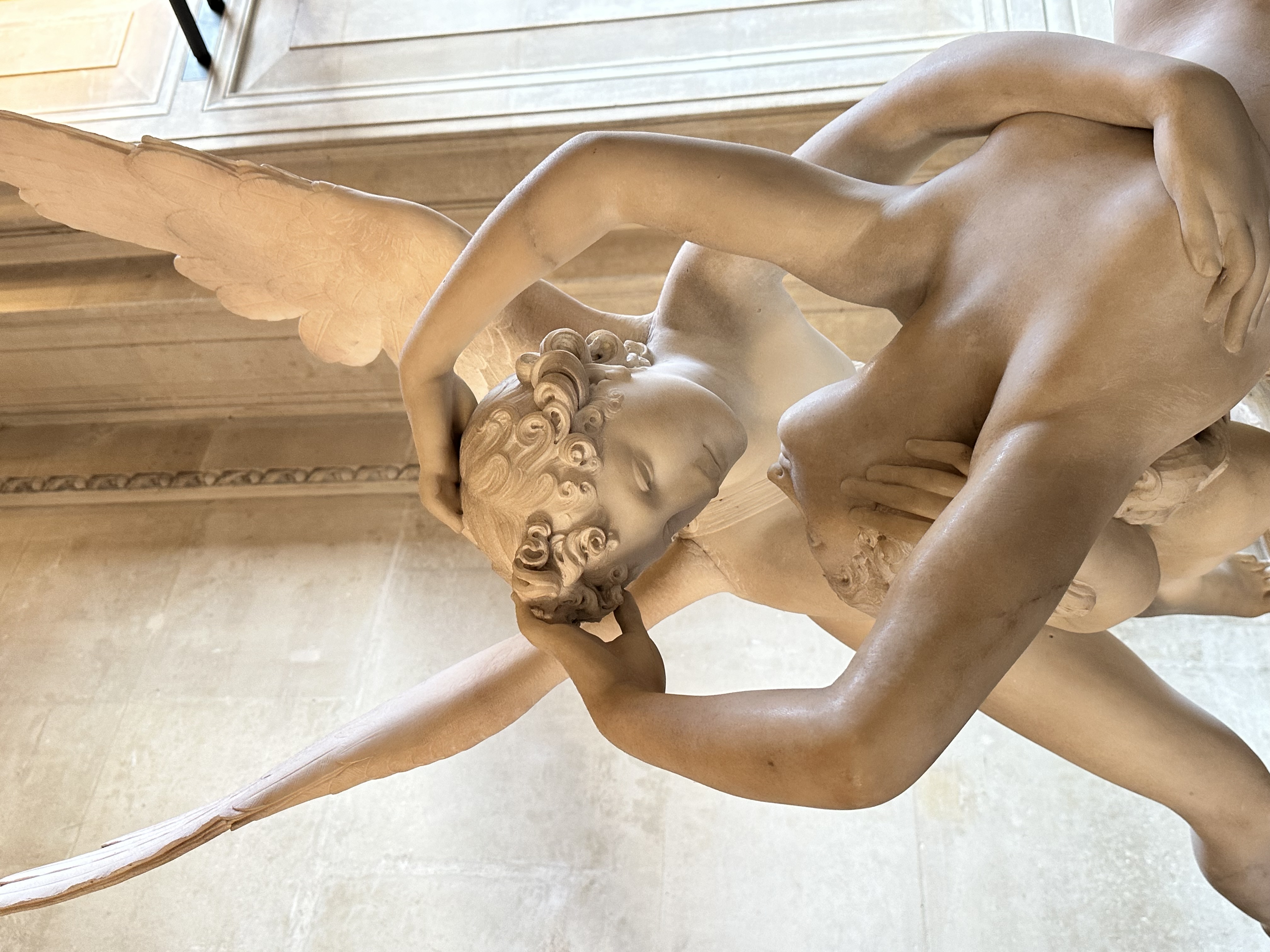 could not believe it looks just like the pictures